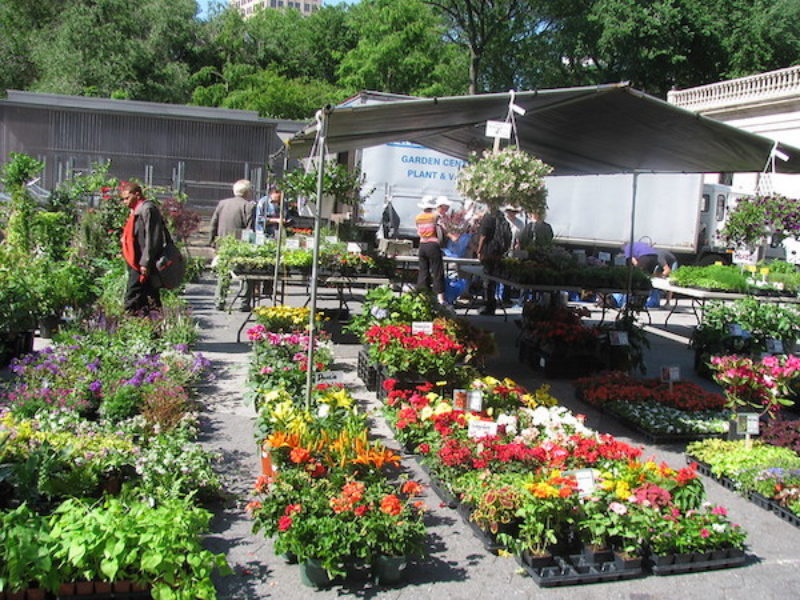 Best NYC Plant Stores I Love The Upper West Side