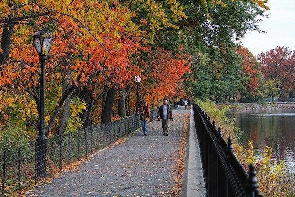 Central Park Reservoir Fall Foliage