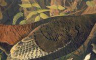 Four Interesting Exhibits at the New-York Historical Society
