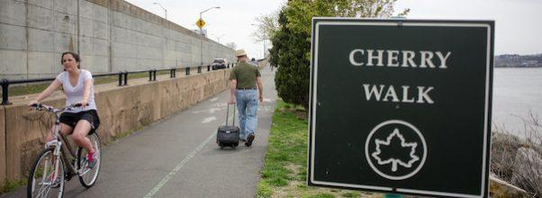 Cherry Walk Path Temporarily Closing