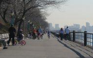 Construction of Cherry Walk Path in Riverside Park Now Complete