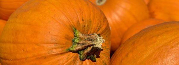 Upper West Side Mom’s COVID-Friendly Halloween Scavenger Hunt Back by Popular Demand