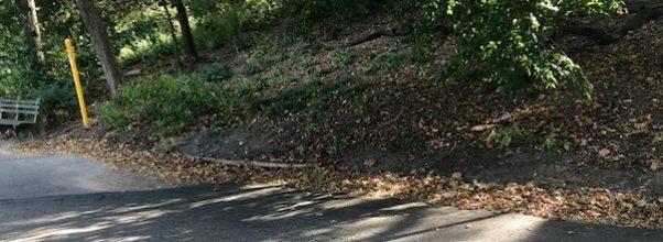 Fallen Branch in Riverside Park Lands on Woman’s Foot, Causes Amputation