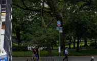 Man Threatens Bus Driver in Front of AMNH