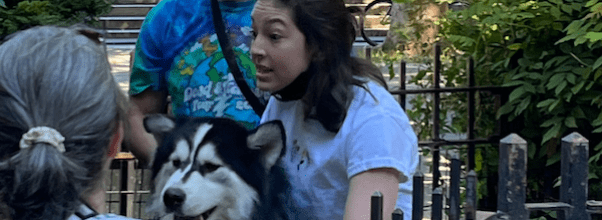 Husky Attacks Dog and Elderly Woman in Riverside Park; Woman Gets 30 Stitches